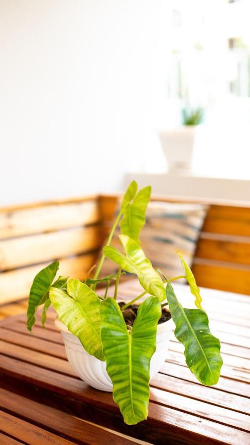 Gallivanters Hostel Dar es Salaam Ngoại thất bức ảnh